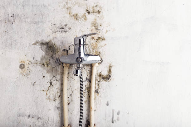 Best Certified Mold Removal  in Sallisaw, OK
