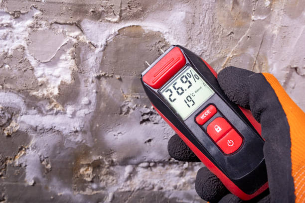 Mold Testing and Removal in Sallisaw, OK
