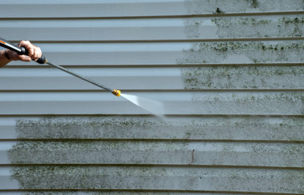 Mold Removal Process in Sallisaw, OK