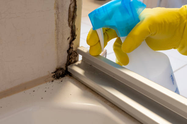 Best Emergency Mold Removal  in Sallisaw, OK
