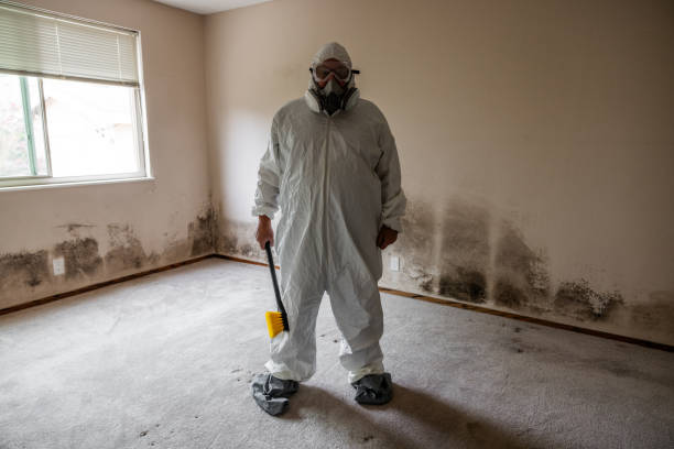 Mold Removal and Inspection in Sallisaw, OK